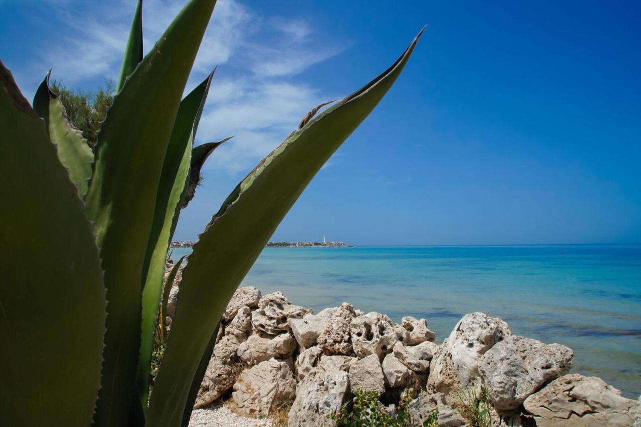 Aurelia Sea View Bed & Breakfast Torre Canne Luaran gambar